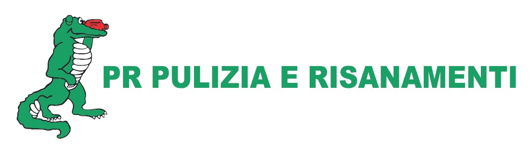 Logo Puli Risan