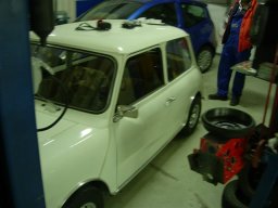 Cene e grigliate
