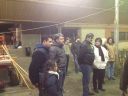 Cene e grigliate