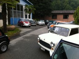 Cene e grigliate