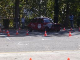 Uscite e Raduni