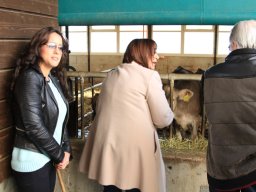 yogurteria_fortino2014_26_20140421_1087687418